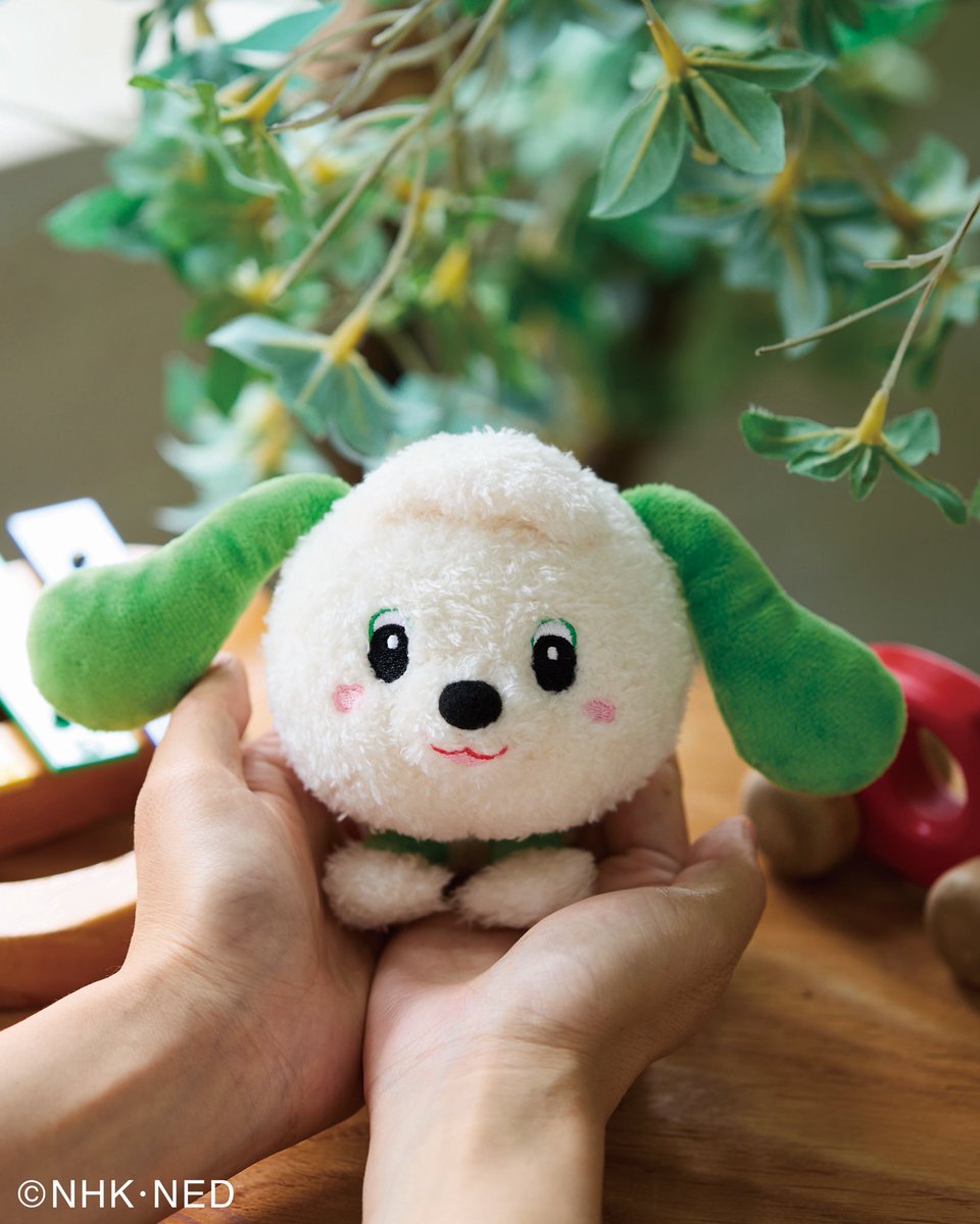 セキグチ公式オンラインショップ (@sekiguchi1918) / Posts / X