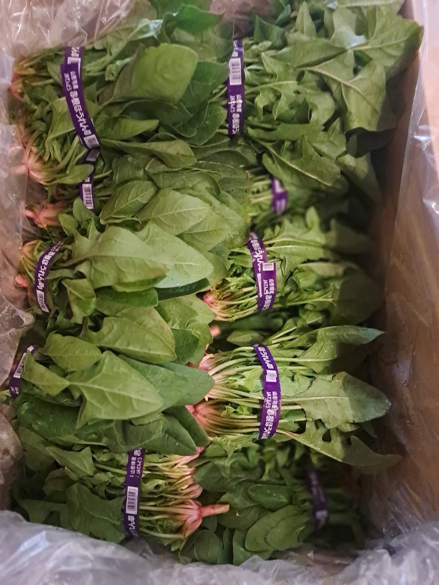 荻窪 インド風カリーすぱいす tweet media