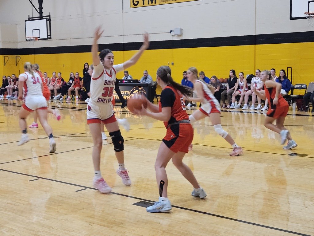 Ladybirds fall to Palmyra 63-62  in OT
