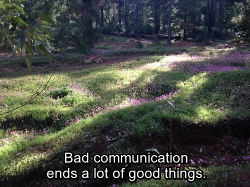 mymind's tweet photo. https://t.co/cVzNFCDjTY