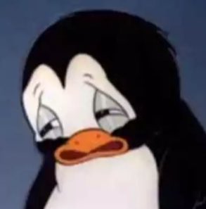 como pode eu ser esse pinguim