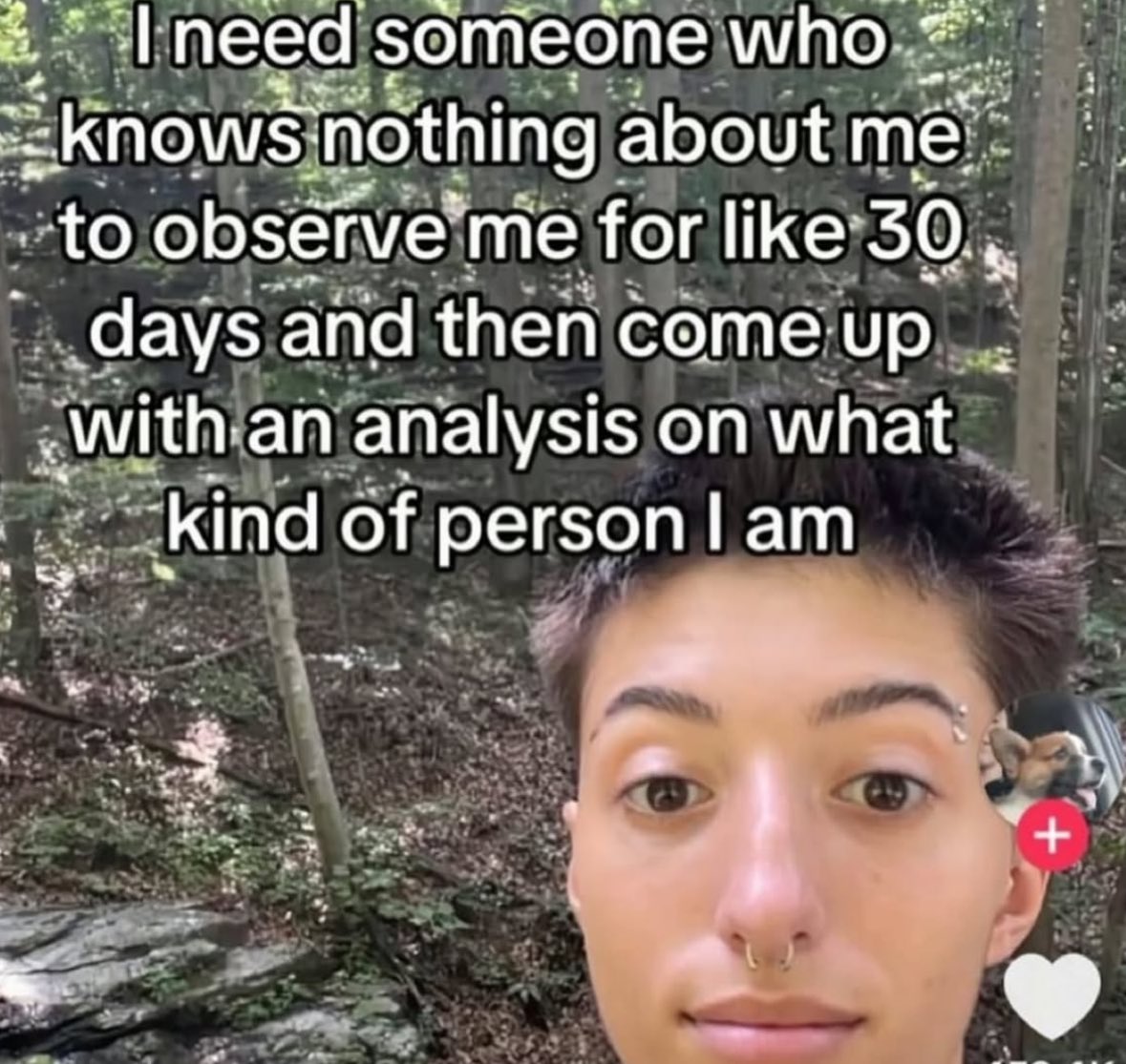 ✧ (@northstardoll) on Twitter photo 