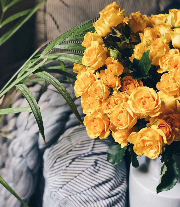 <a href="/AzizbagBag/">عبدالعزيز أحمد بغلف🇸🇦</a> <a href="/AzizbagBag/">عبدالعزيز أحمد بغلف🇸🇦</a> 
_____________________

أحياناً فيه كلمات تجي بوقتها وتلمس 
شي داخلنا ما نعرف نسمّيه وكلامك والفيد 
الحين  عن الكلمة الطيبة كان من هالنوع .. 

مو لأن العبارة #جديدة… لكن لأنك 
تقولها بإحساس يخلي الواحد يوقف 
عندها ويحس إن الطيب مو بس خُلق .. 

الطيب رسالة وطريقتنا