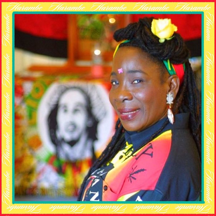 Harambe means working together!