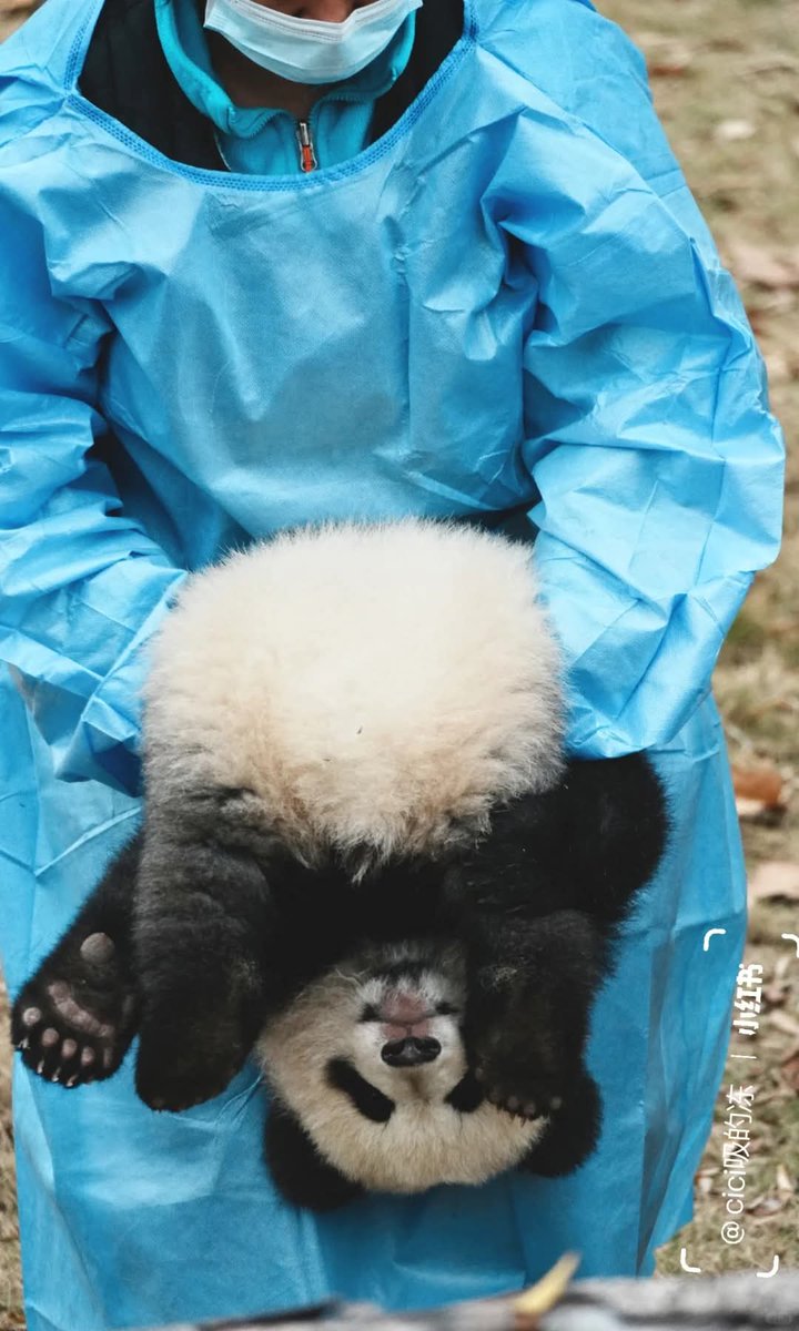 kate68_102's tweet image. 🙃