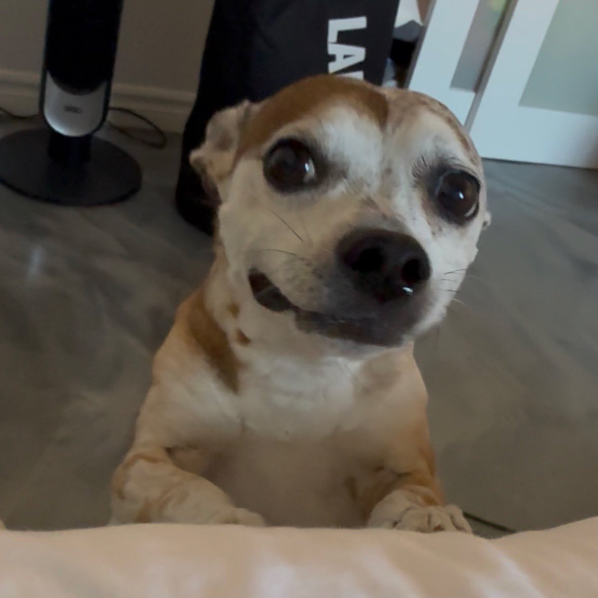 van cweef tweet media