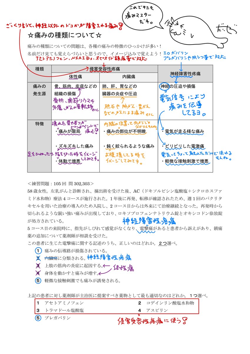 薬剤師国家試験　REC 2024年度版 薬剤師国家試験 REC 2024年度版