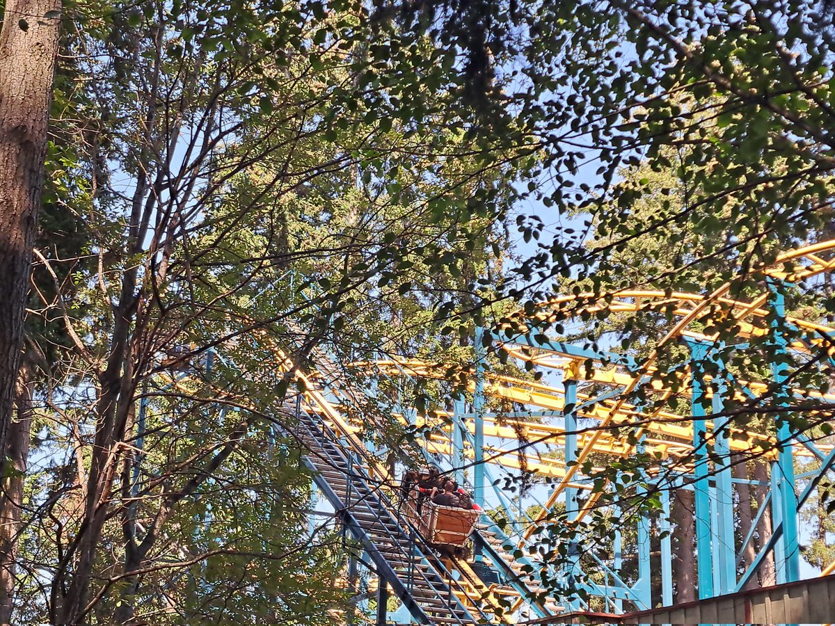 JoeMelba's tweet image. Go to local parks

Go to small parks

You probably won't find a new top 10 coaster but you might find joy in the vibes you can't find at the big boys....in the stillness. I know I did @WildWavesPark

You never know when you won't be able to anymore