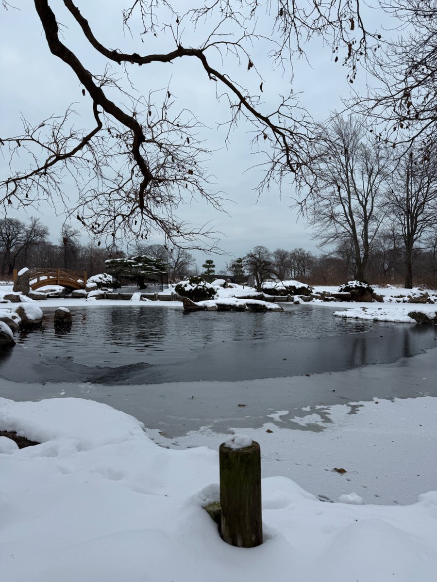 _amackenzie's tweet image. 251210