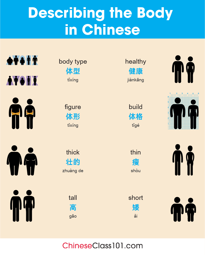 chineseclass101's tweet image. Study Body Parts in Chinese! 👁️👂 P.S. Need to master Chinese? Study here: bit.ly/4plfRbS

#BodyParts #WordsinChinese #ChineseLessons