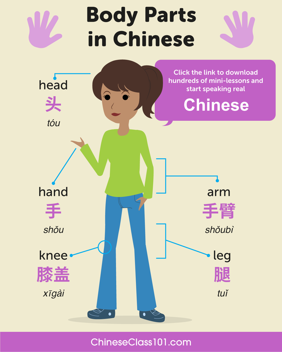 chineseclass101's tweet image. Study Body Parts in Chinese! 👁️👂 P.S. Need to master Chinese? Study here: bit.ly/4plfRbS

#BodyParts #WordsinChinese #ChineseLessons