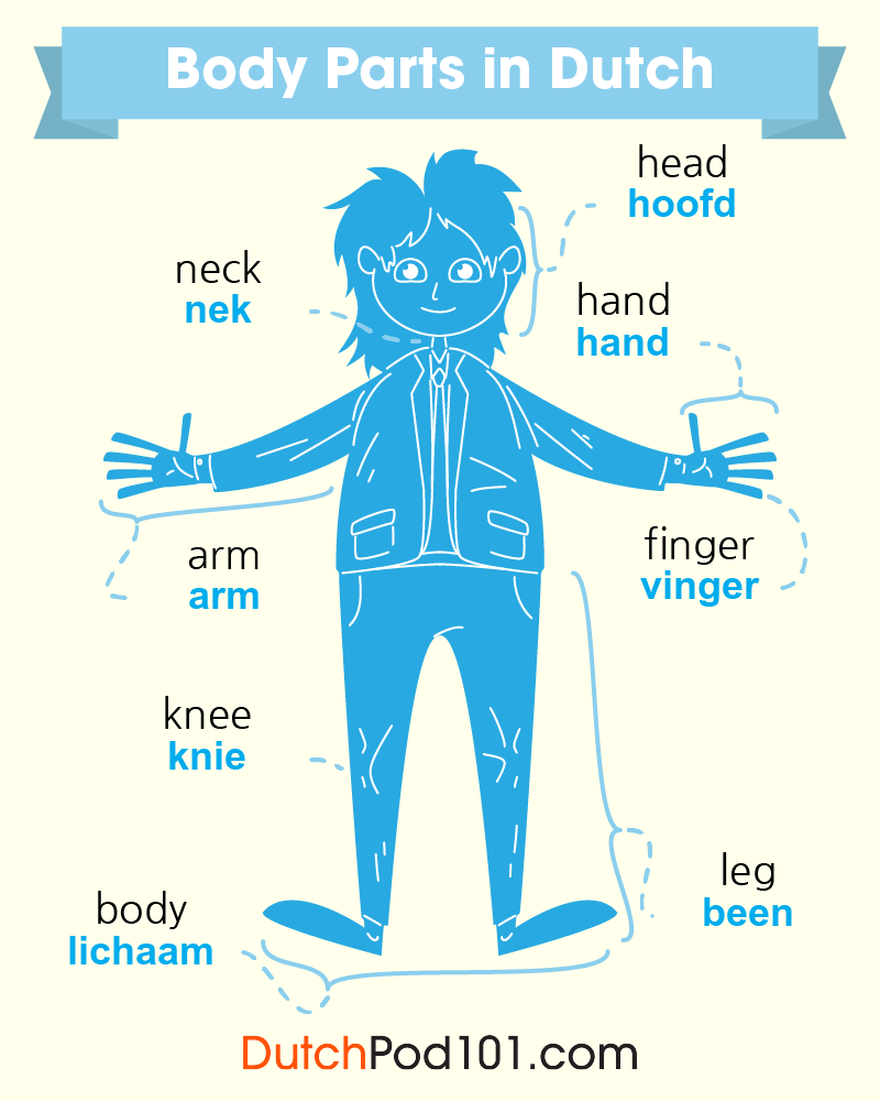DutchPod101's tweet photo. Study Body Parts in Dutch! ποΈπ P.S. Need to master Dutch? Study here: https://t.co/dcD5Rc4QXL
#BodyParts #WordsinDutch #DutchLessons https://t.co/1Chkmofdtl