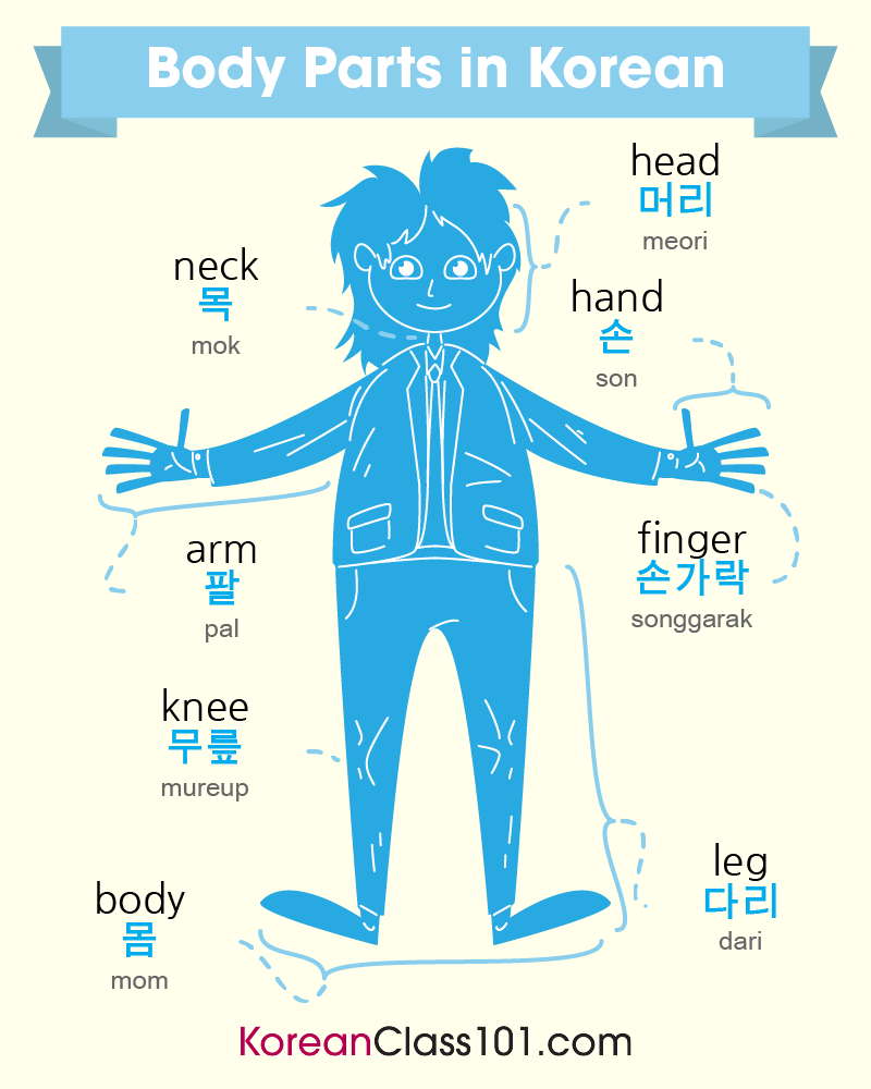 KoreanClass101's tweet photo. Study Body Parts in Korean! 👁️👂 P.S. Need to master Korean? Study here: https://t.co/hi7cOnVAuF
#BodyParts #WordsinKorean #KoreanLessons https://t.co/Wb2XtjGe8m