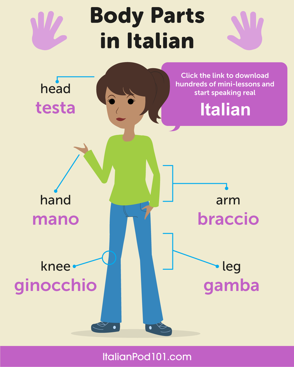 italianpod101's tweet photo. Study Body Parts in Italian! ๐๏ธ๐ P.S. Need to master Italian? Study here: https://t.co/cD5HDahDd9
#BodyParts #WordsinItalian #ItalianLessons https://t.co/KgzsFqzm3r