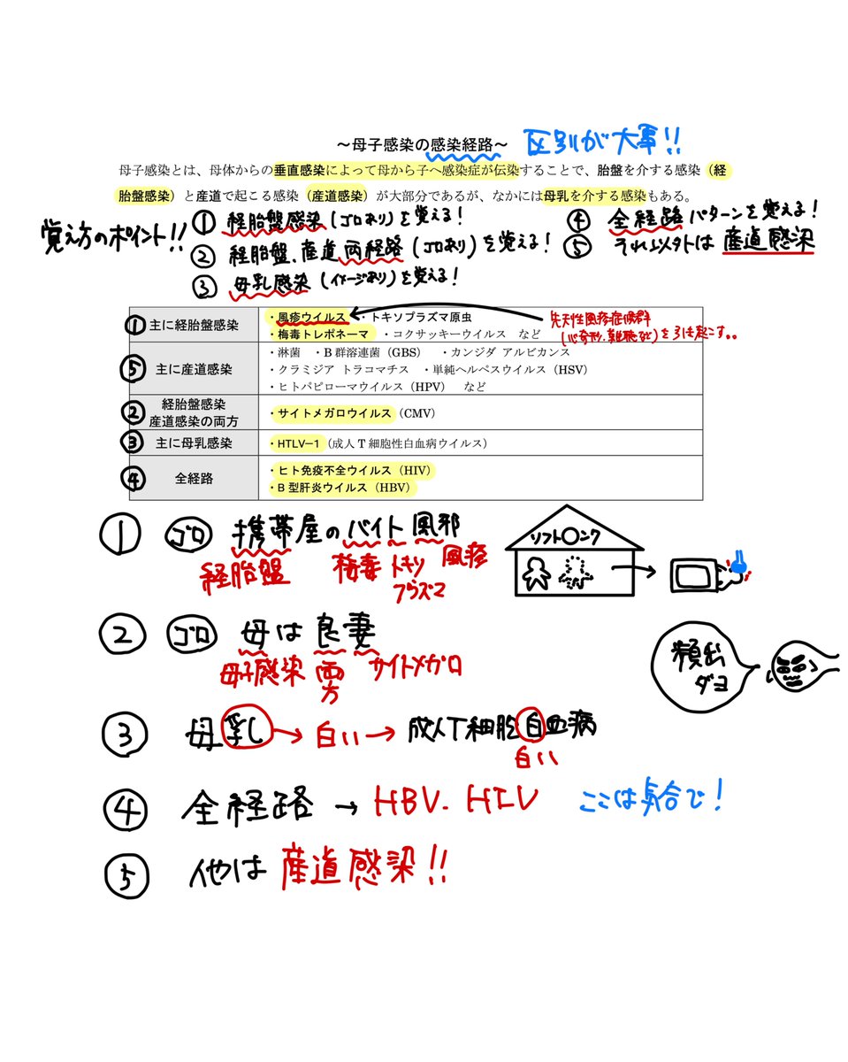 薬剤師国家試験予備校REC (@REC97180043) / Posts / X