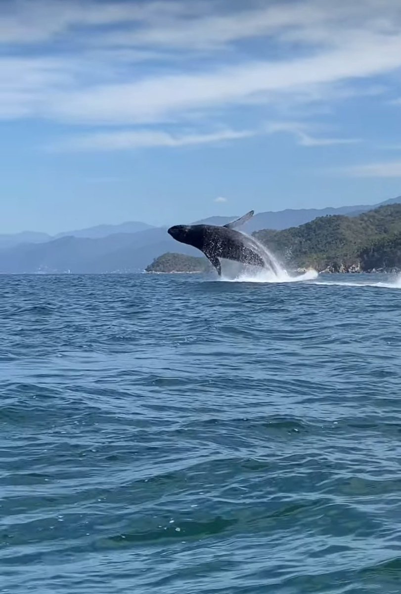 Se logró!! 🥳🥳