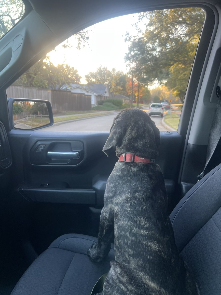 MATTDADDYHUD's tweet photo. Learning to ride in the truck https://t.co/0ac1I5mp37