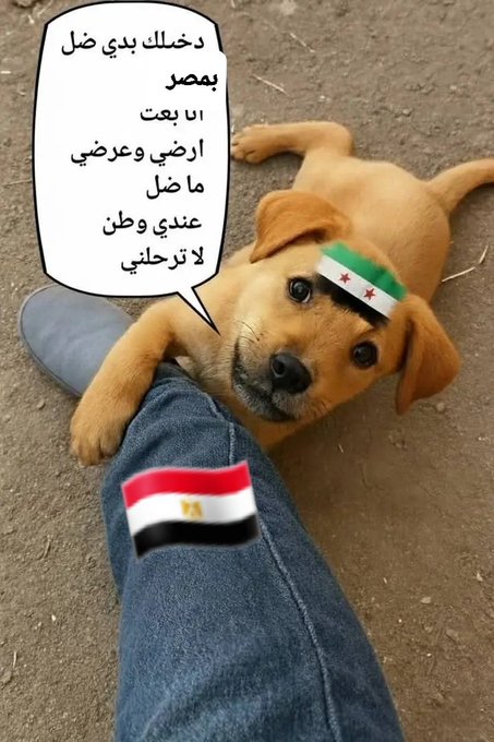 dude123748883's tweet photo. @RamizAlmoazen https://t.co/7D0irGTHtb