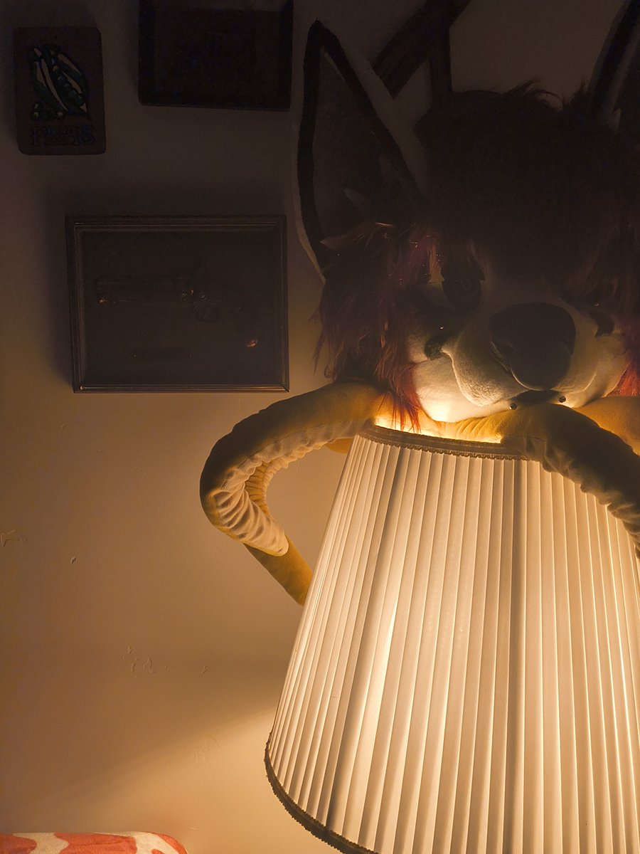 SnailGuy tweet media