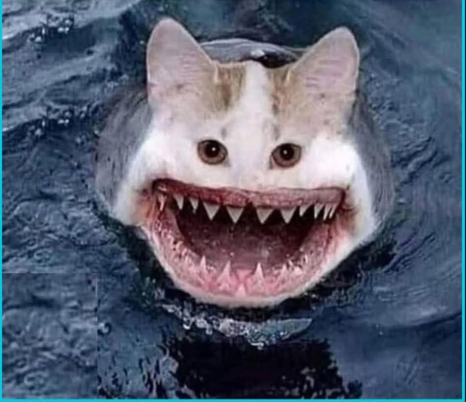 MLagagna's tweet photo. #DuroDeDomar ya está la cruella de Vil mostrando los dientes y opinando sandeces de derecha!! #FueraBrey das asco!! https://t.co/WFdpdjYizU