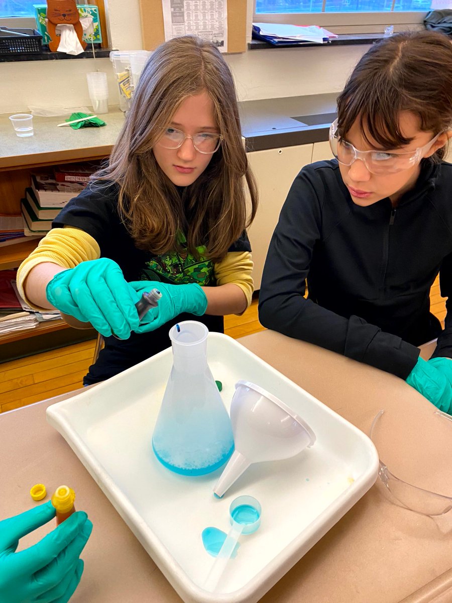 Lincoln Elementary School tweet media