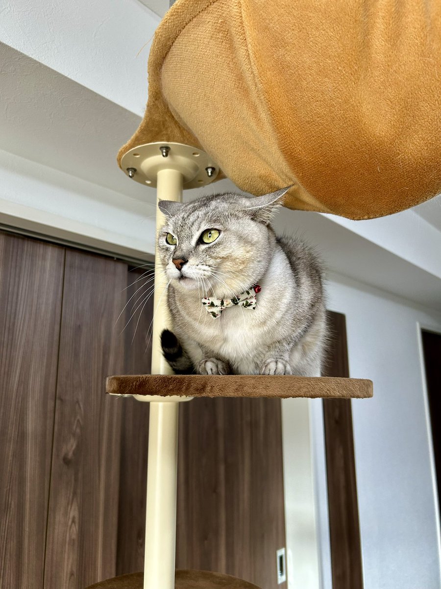 紫十色🌺 (@z9f4v) / Posts / X