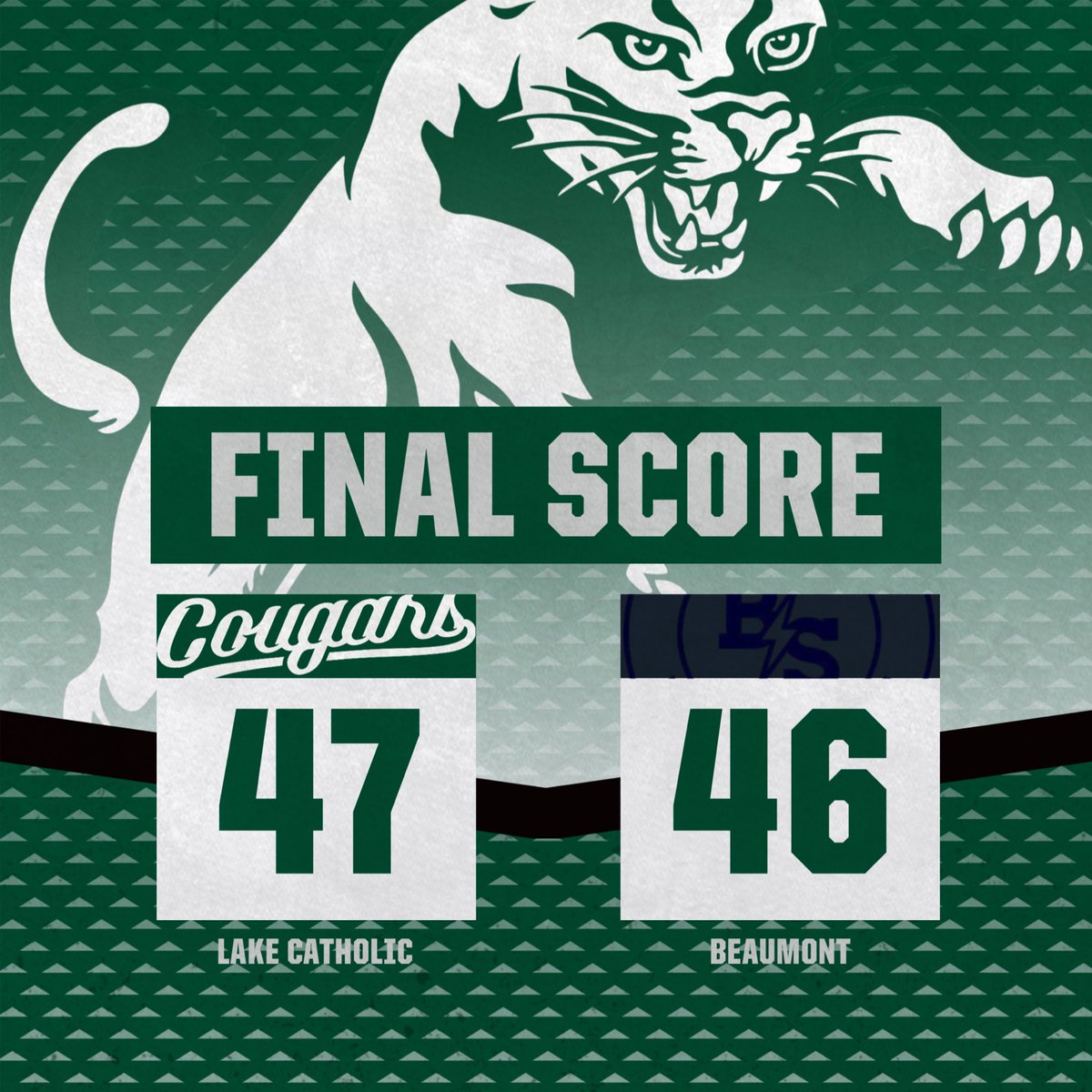 Lake Catholic Girls Basketball tweet media