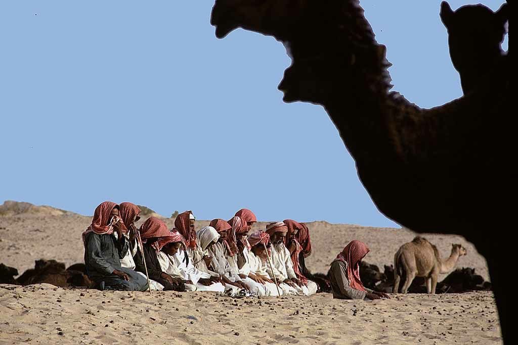 iFalcon10's tweet image. اللهُم ثبتنا على الصلاة ، حبًا وليس فرضًا