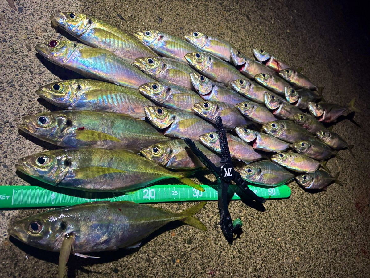 jasmineページ aimoha｜【Jasmine】ビックカラーエコファーコート | Rakuten Fashion