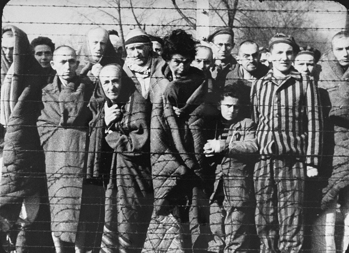 The Genocide Report tweet media