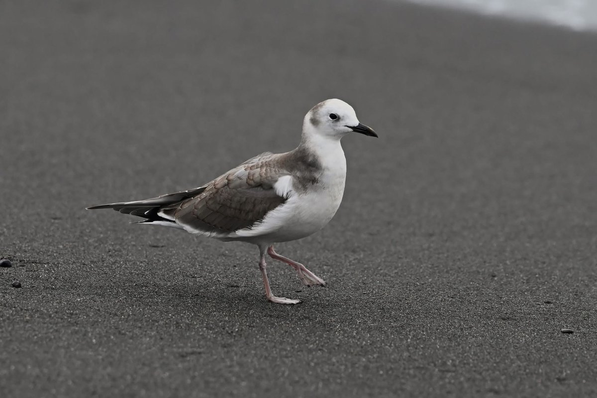 2度目の…正直
2025/12/3