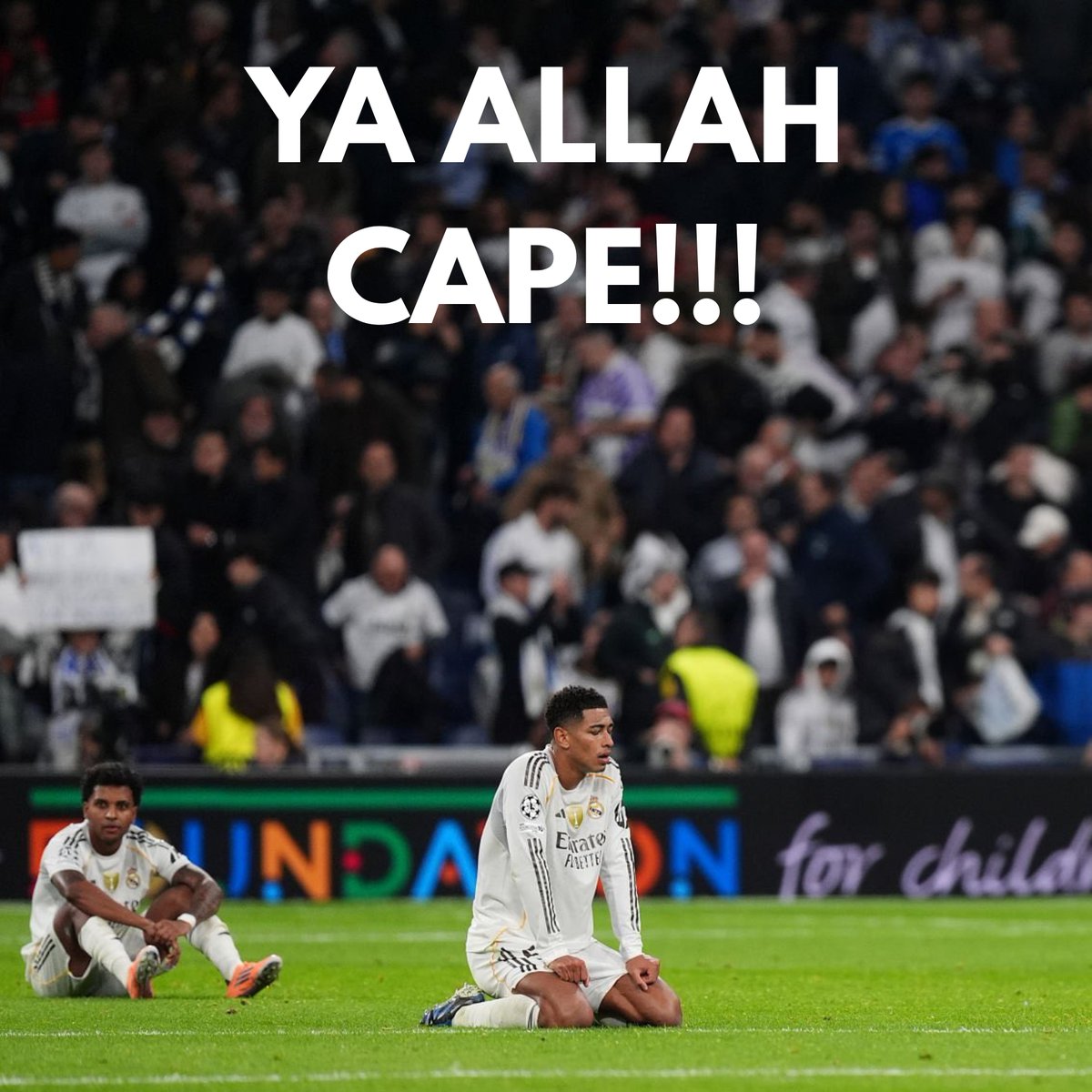 ️️ ️️ tweet media