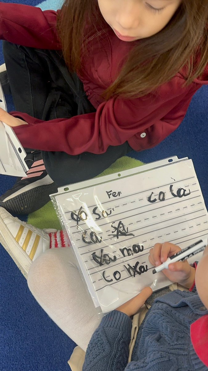 Ana Castellanos Williams, M.Ed. tweet media