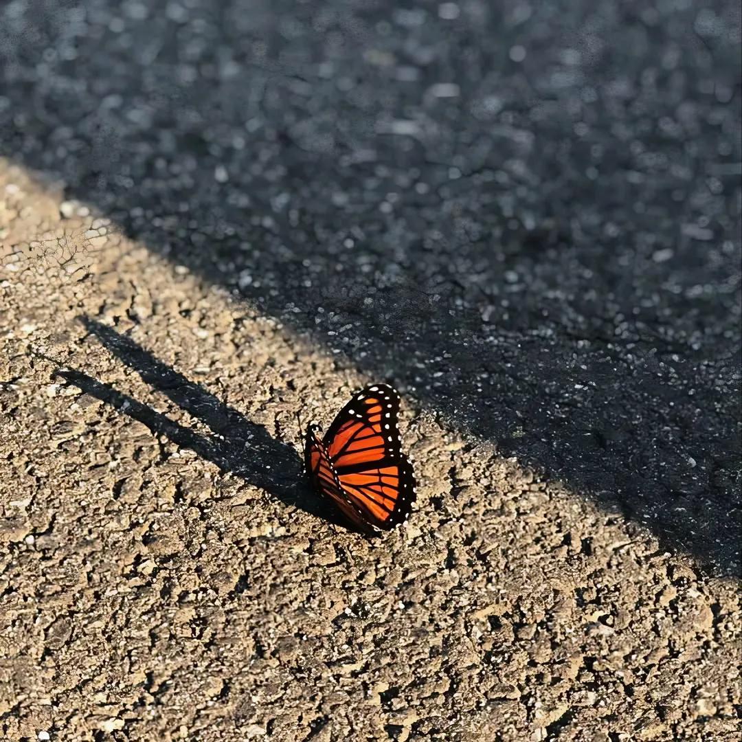 हर वो चीज़ , जिसकी वजह से आप मुस्कुरा लेते हैं.. ,
       वो राज़ ही रहे तो बेहतर है...!!

             Good morning