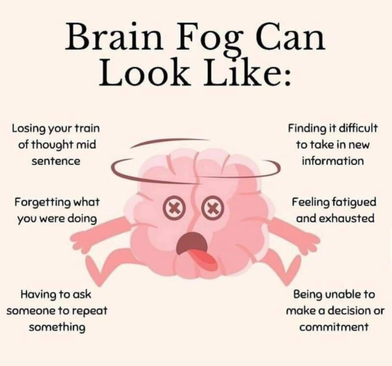 KristenJakobitz's tweet image. Brain fog fix? Omega-3s! 

Your brain is mostly fat, and hormones need healthy fats to communicate. Add fatty fish, walnuts, or a quality fish oil supplement to your routine. Clear the clouds. 🧠 

#BrainHealth  #Perimenopause #BrainFog #MentalClarity