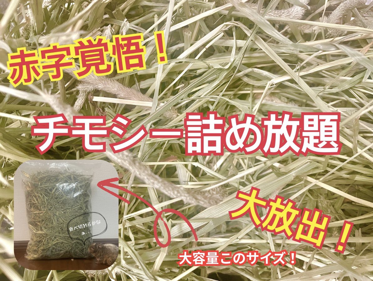 詰め放題の乾燥牧草は
通常1kg 1,300〜1,400円ほどで販売されているものになります✨

かなりお得かと...🫢

#ちぇるフェス