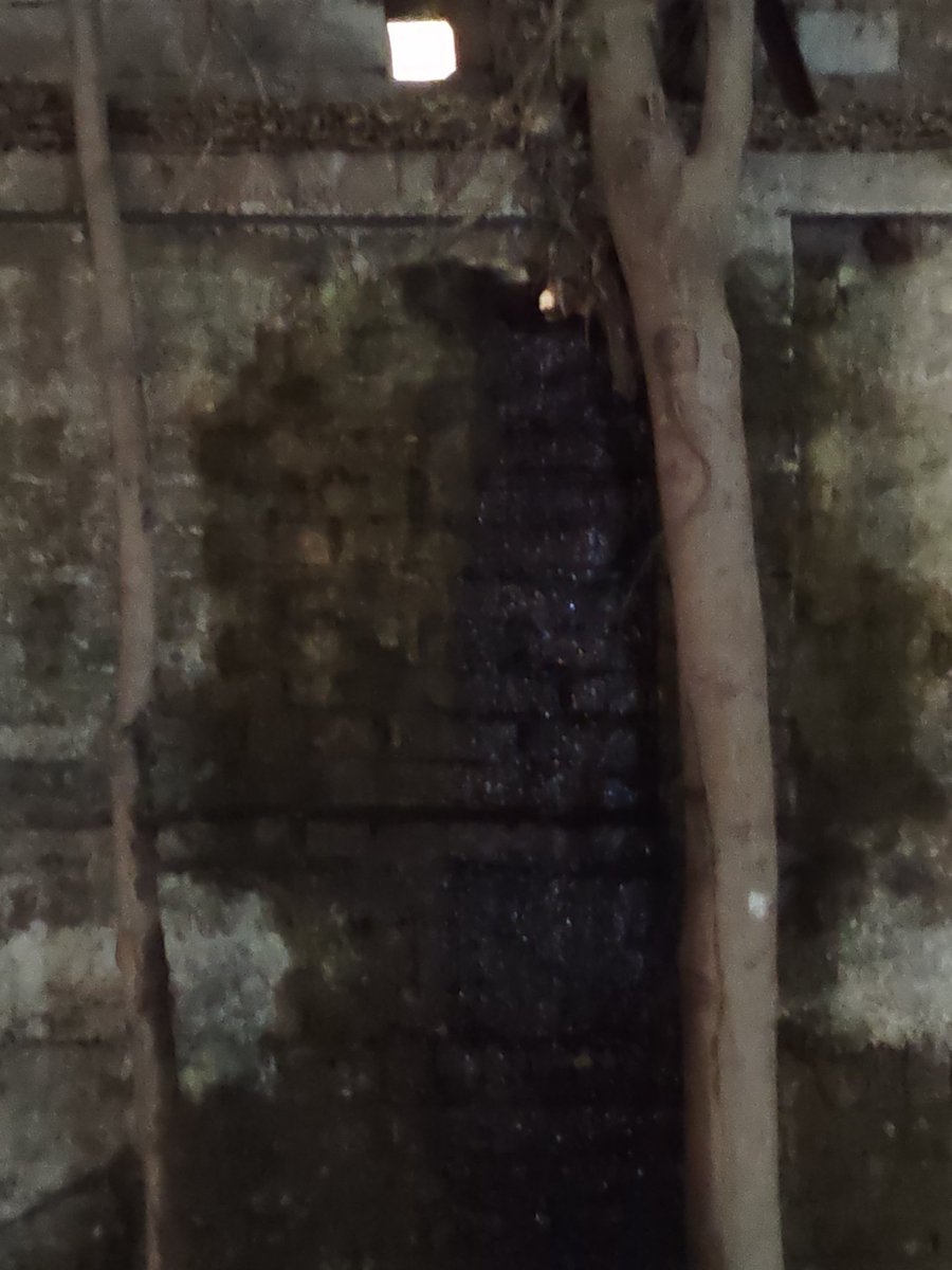 सुबह 6:30 बजे से ही बदबूदार अनट्रीटेड सीवेज पानी #OasisVenetiaHeights (Surajpur Site C) के सामने जमा है।
कई बार सूचना देने के बावजूद UPSIDA ने कोई कार्रवाई नहीं की।
मुख्य सचिव, यूपी से आग्रह है कि इस गंभीर स्वास्थ्य समस्या पर तुरंत हस्तक्षेप करें

#GreaterNoida #UPSIDA
<a href="/UPSIDA/">CEO@UPSIDA</a>