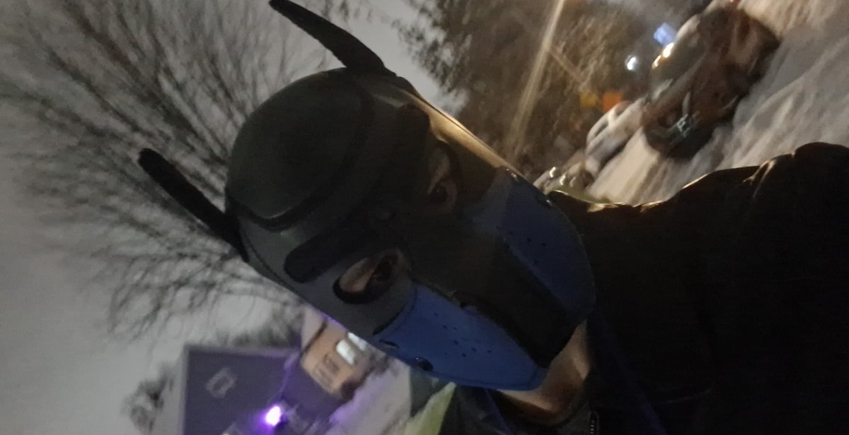 PupAuto's tweet image. Nothing like a winter Minnesota stroll for this pup! If you like i left some auto flavored sno cones outside do eat the yellow snow!! Awroooo