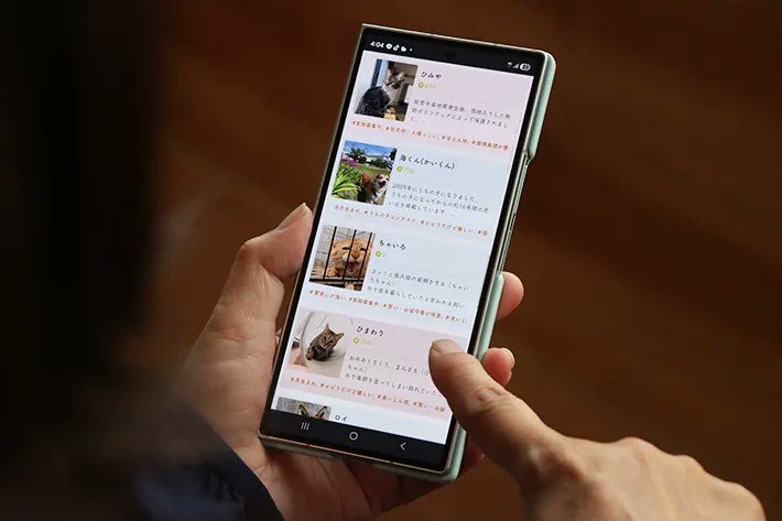 気になった保護犬や保護猫を『推しの子』に？🐶🐱
画期的な新サービスの背景を取材しました！
#grape動物

保護動物の未来が変わる？　話題の『推し活支援』サービスが…【独自取材】 grapee.jp/2126984 <a href="/grapeejp/">grape</a>より