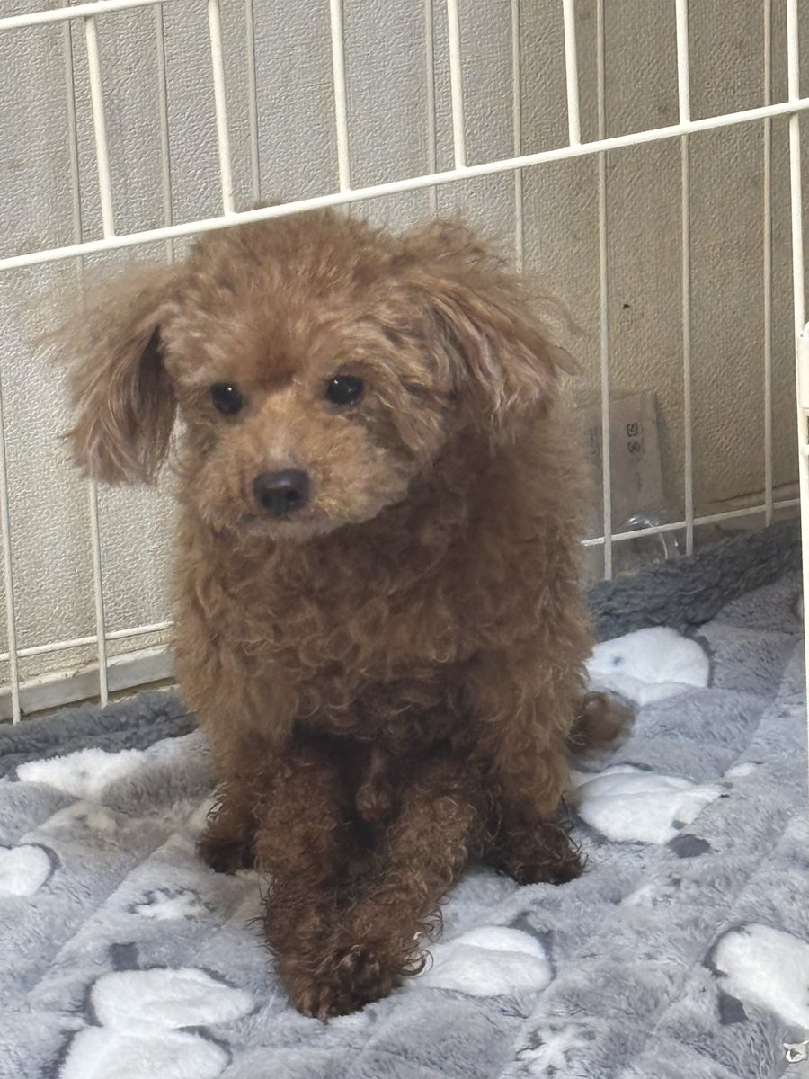 さーたん (@satan2319) / Posts / X