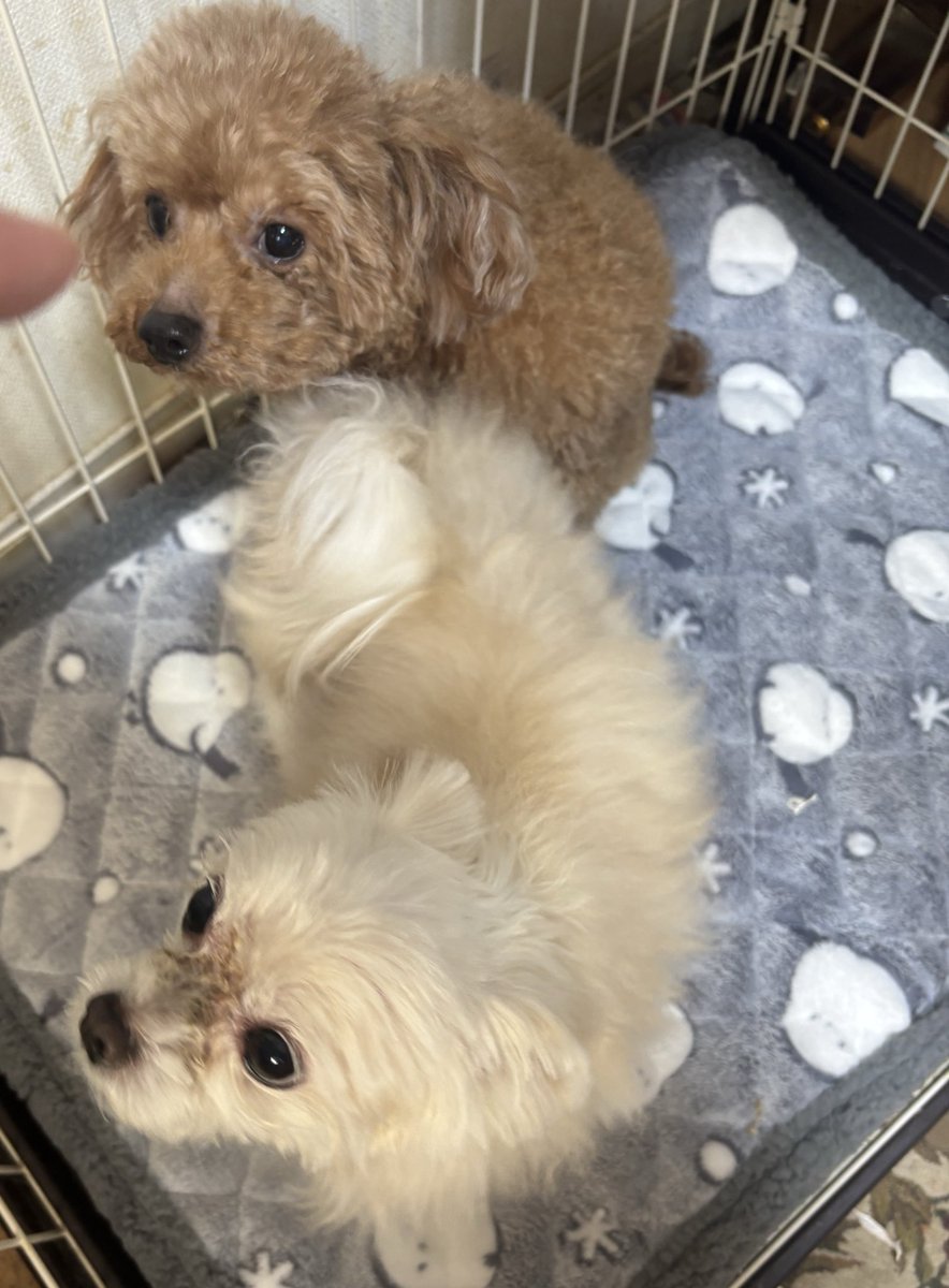 さーたん (@satan2319) / Posts / X