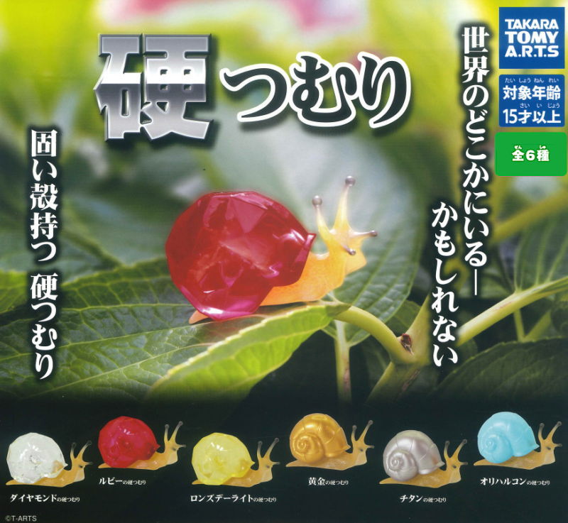 ✨新商品案内 2025年12月11日(木)✨／ ☑️硬つむり #タカラトミー