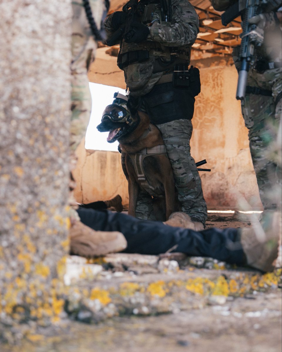 Dynamic Battlespace = Chaos. You move. Targets move. Your K9 moves. Walls appear.
.
Data rates collapse in milliseconds. Wave Relay doesn’t wait. It reroutes packets in real-time across the entire MANET, always hunting the fastest path alive.
.
The environment changes.
.
The