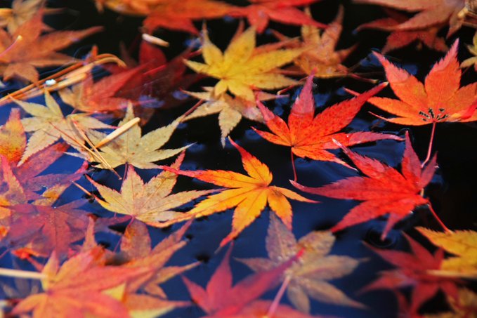 \[V}KWwRXfBAhbgR!!x:ŐV𐏎XV!!