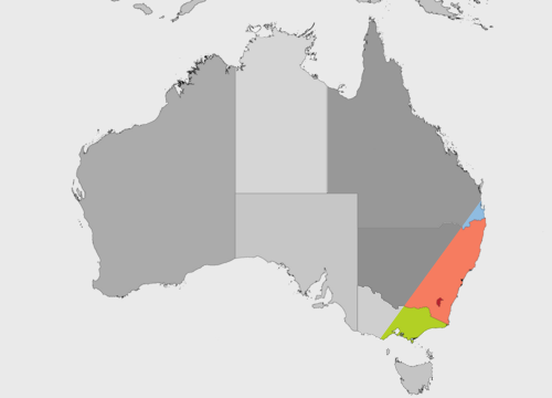 It seems to be "Australian Tour" season again