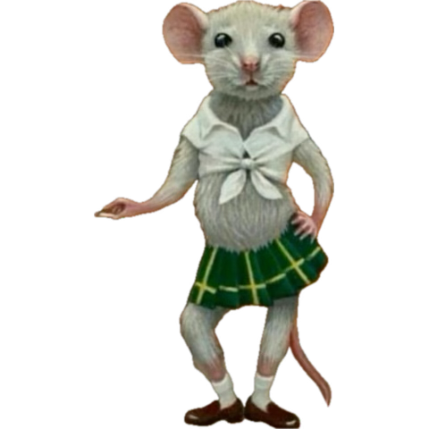 today’s workout fucked me up so bad goodnight 😭 brb tomorrow morning or 1 am stay on alert