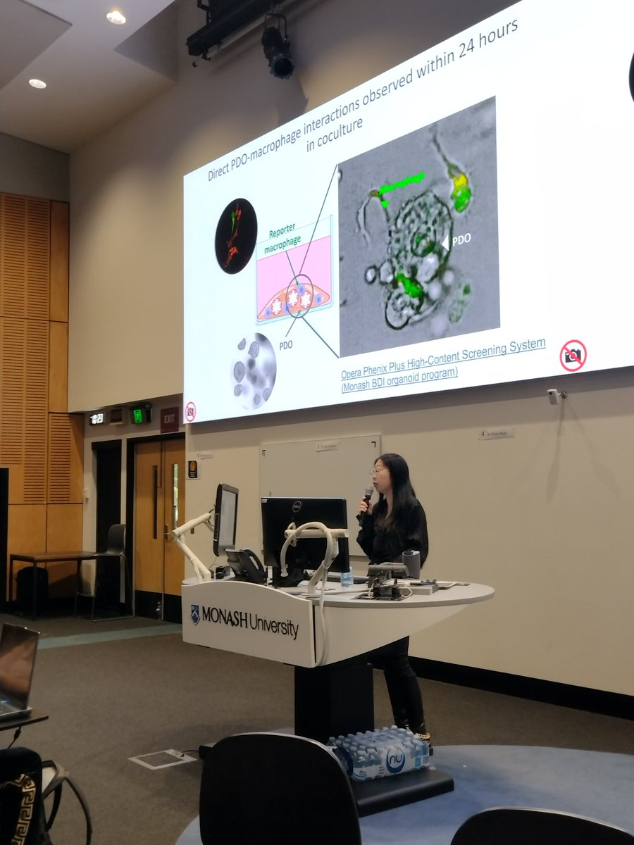 Monash BDI Organoid Program tweet media