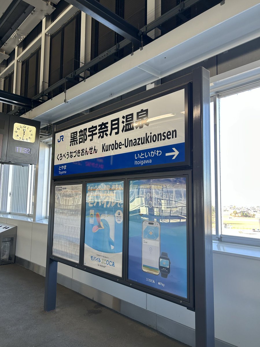 かじゅまる (@kaz4_kaz1) / Posts / X