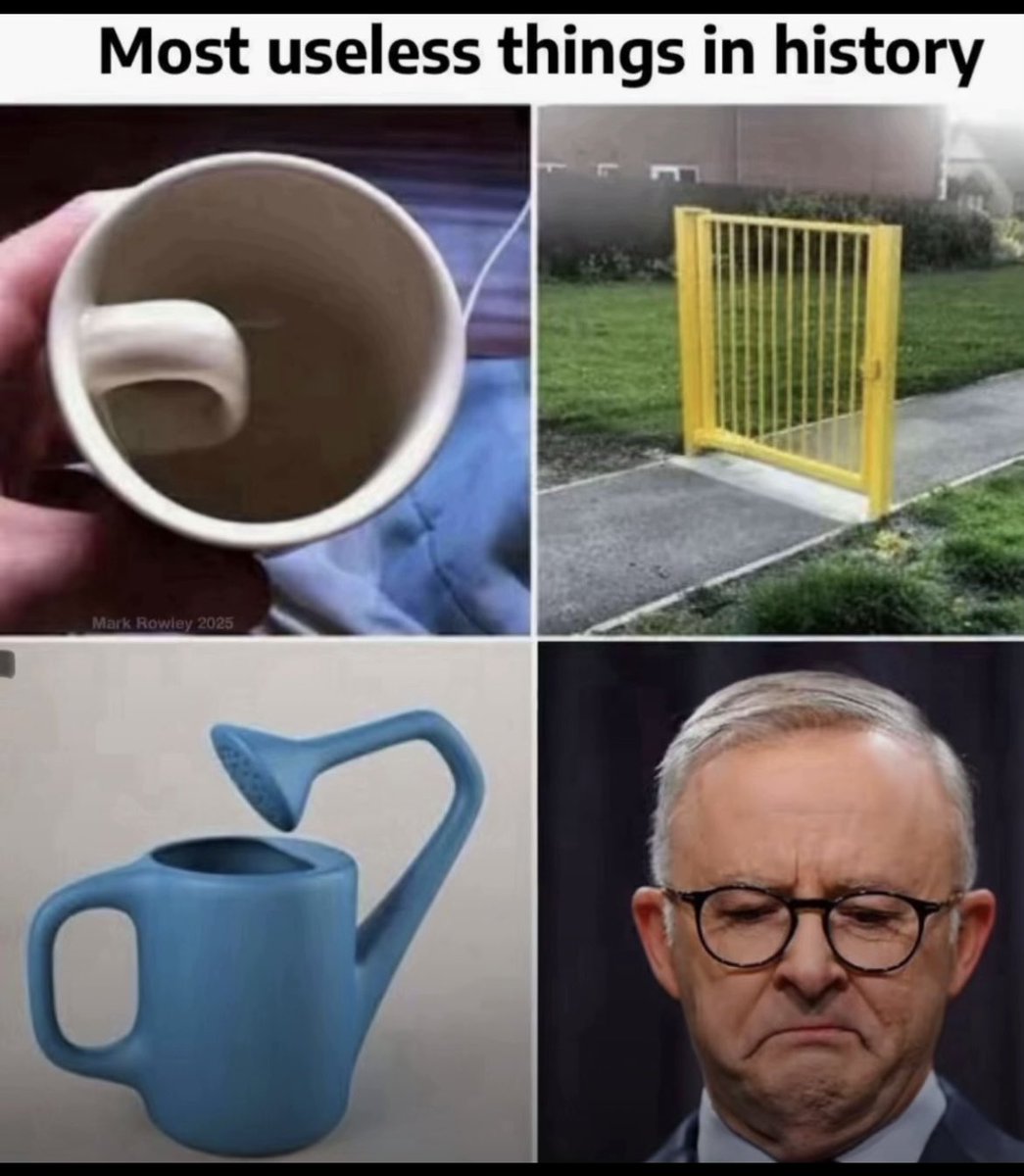 PatrioticAussie's tweet image. And the kids on TikTok are giving you hell, you have just lost a generation of voters..