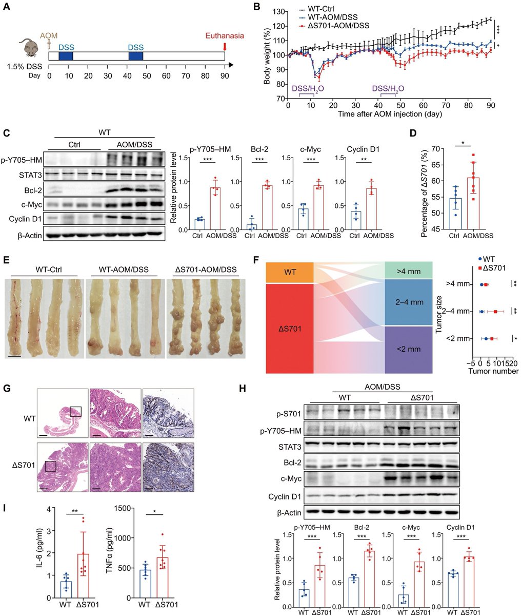 Waggoner Lab tweet media